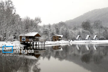 La naturaleza nevada de los bosques de Mazandaran