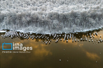 Autumn snow whitens forests of northern Iran