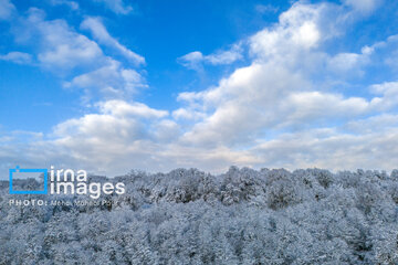 Autumn snow whitens forests of northern Iran