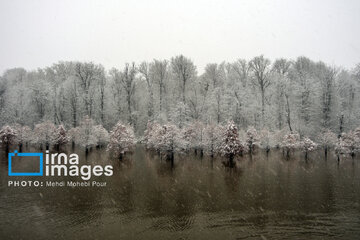 Autumn snow whitens forests of northern Iran