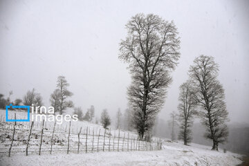 Autumn snow whitens forests of northern Iran