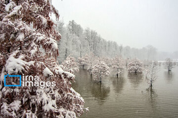 Autumn snow whitens forests of northern Iran