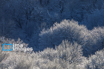 Autumn snow whitens forests of northern Iran