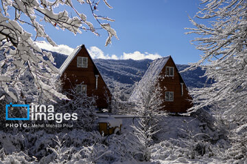 Autumn snow whitens forests of northern Iran