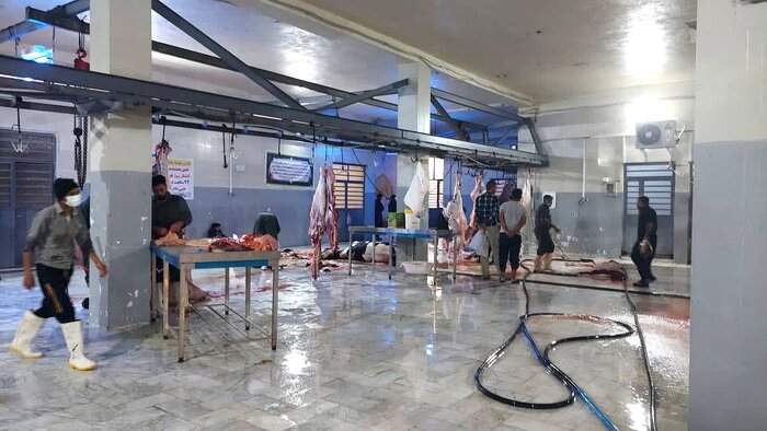 هفت هزار و ۶۱۲ تن محصولات دامی لرستان به خارج از کشور صادر شد