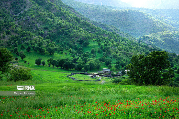 «سرمایه‌گذاری سبز» در صنعت گردشگری؛ کسب و کار آینده‌نگرانه