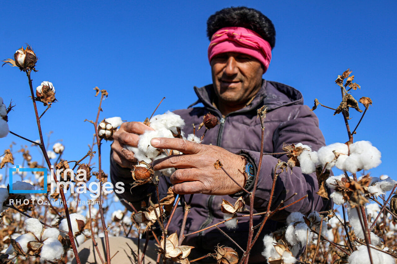 افزون بر پنج هزار خانوار از صندوق بیمه روستایی خراسان‌شمالی مستمری دریافت می  کنند