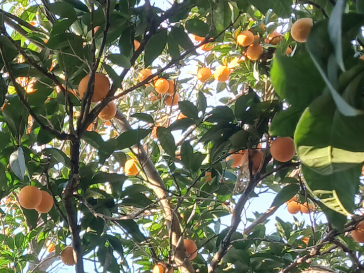 باران پس از ۵۰ روز به مازندران رسید