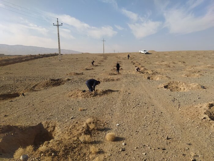 پویش در سایه مادر؛ هنگامهای برای زمین و زندگی