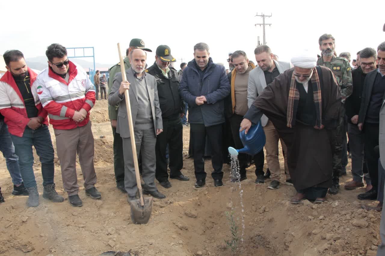 ۱۰۰ اصله درخت در پویش «زیر سایه مادر» در زنجان کاشته شد