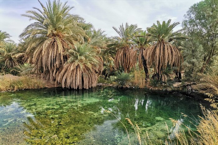 جوشش معجزه از دیگ رستم - ایرنا