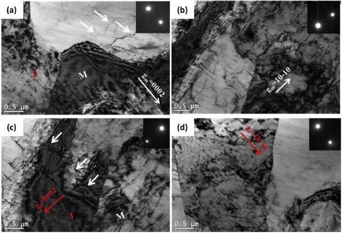 بهبود خواص منیزیم بازیافتی؛ دستاورد محققان دانشکدگان فنی دانشگاه تهران