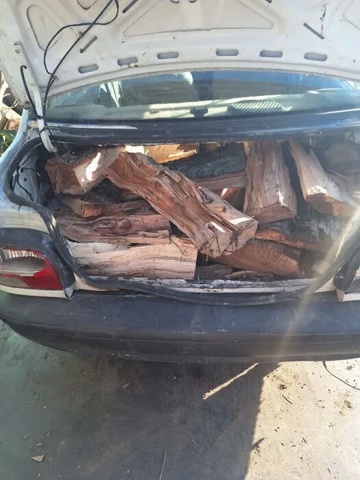 قاچاقچی چوب با تبر مامور منابع طبیعی بابل را زخمی کرد