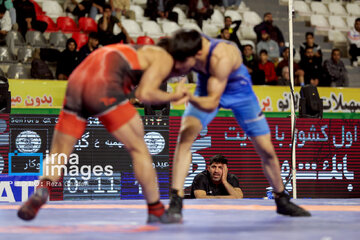 National Greco-Roman wrestling championship held in Shiraz