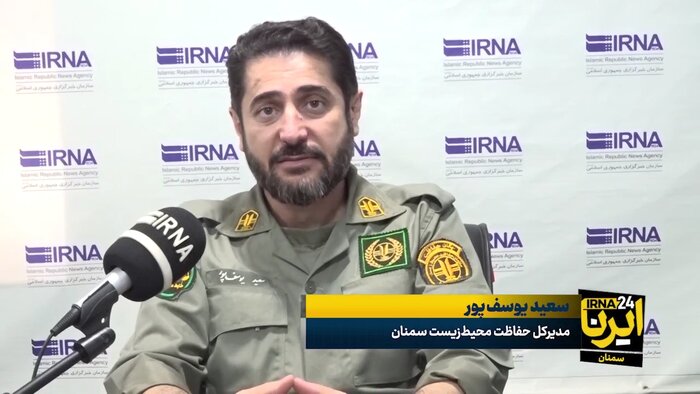 جزئیات بیشتر از چهار تولهیوزپلنگ توران در آستانه بلوغ