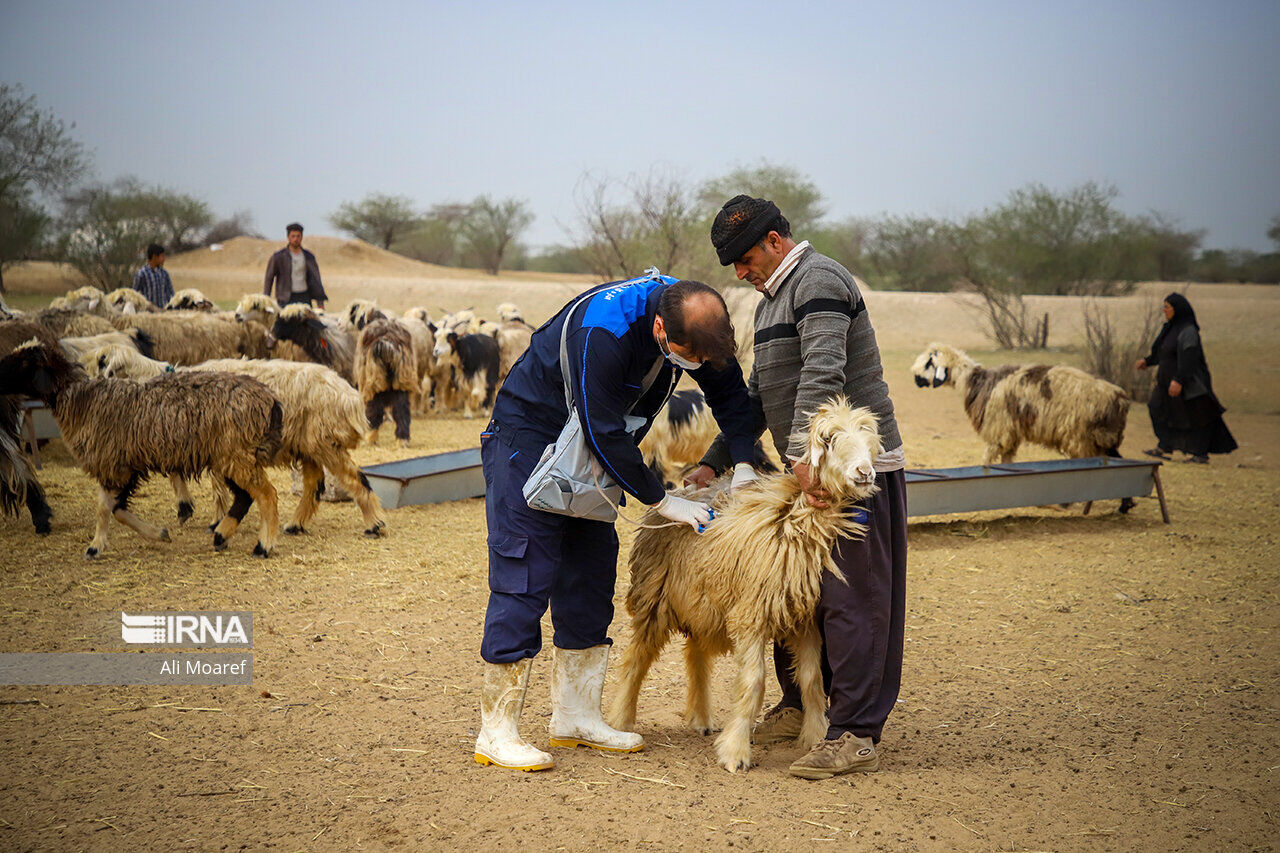 نخستین درمانگاه سیار دامپزشکی در پرجمعیت‌ترین کانون عشایری کشور راه‌اندازی شد