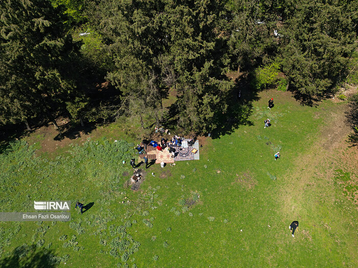 جنگلهای گیلان میراثی ارزشمند؛ نیازمند حفاظت همه جانبه