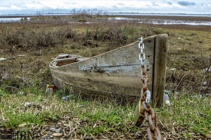 ۴۲ درصد تالابهای کشور خشک شد/ تبدیل یک میلیون هکتار از عرصههای طبیعی ایران به بیابان