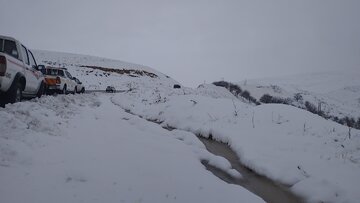 فیلم| قطع ارتباط ۱۰۰ روستای دلفان لرستان بر اثر بارش برف