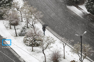 Snow makes up different areas in Hamedan, western Iran