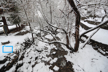 Snow makes up different areas in Hamedan, western Iran