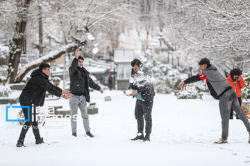 Snow makes up different areas in Hamedan, western Iran