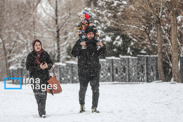 Snow makes up different areas in Hamedan, western Iran