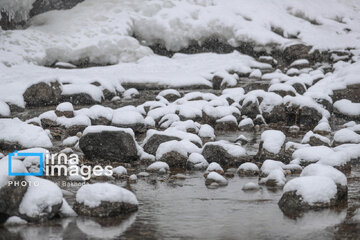 Snow makes up different areas in Hamedan, western Iran