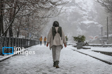 Snow makes up different areas in Hamedan, western Iran