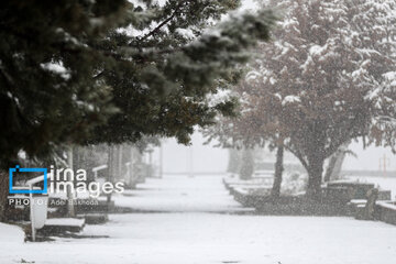 Snow makes up different areas in Hamedan, western Iran