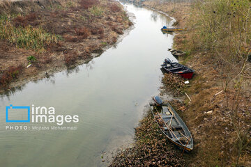 Shadow of death over northern Iranian wetland ‘Anzali’