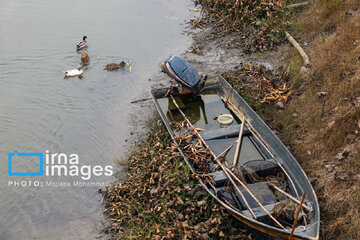 Shadow of death over northern Iranian wetland ‘Anzali’