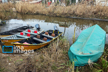 Shadow of death over northern Iranian wetland ‘Anzali’