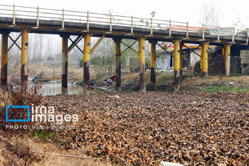 Shadow of death over northern Iranian wetland ‘Anzali’