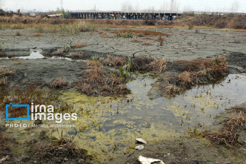 Shadow of death over northern Iranian wetland ‘Anzali’