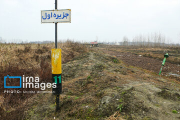 Shadow of death over northern Iranian wetland ‘Anzali’