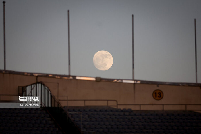 از شب باشکوه ورزشگاه آزادی تا فراری بودن کریم باقری از آلپاچینو