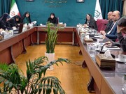 ساماندهی مراکز مشاوره ازدواج و خانواده، دستور کار معاونت ریاست جمهور