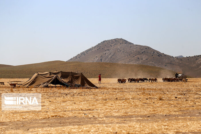 عشایر خراسان رضوی، جهادگران تولید در سایه نجابت و سختکوشی