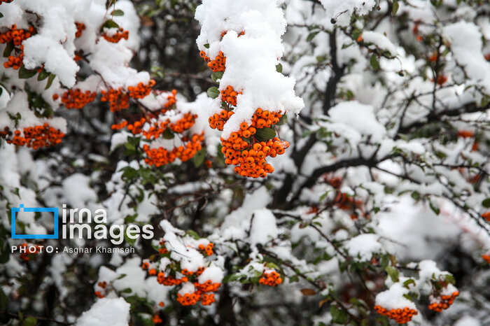 کمینه دمای پایتخت منفی پنج درجه میشود؛ یخبندان در انتظار تهرانیها