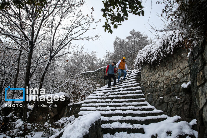 آغاز بارش برف در پایتخت؛ سایت‌های برف‌روبی در آماده باش است