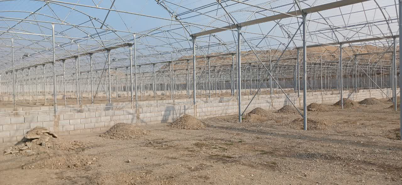 نظام مهندسی کشاورزی استان تهران از توسعه گلخانه ها حمایت می کند + فیلم