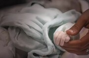 El régimen sionista ha martirizado a 1.091 bebés palestinos en Gaza