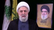 Hezbollah-Iran cooperation based on confronting common enemy: Sheikh Qassem