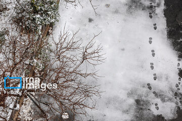 La nieve cubre de blanco Teherán