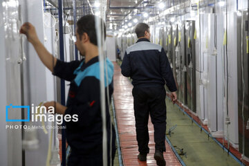 Manufacturing of refrigerators in northeastern Iran