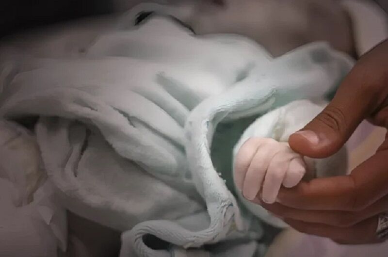 El régimen sionista ha martirizado a 1.091 bebés palestinos en Gaza