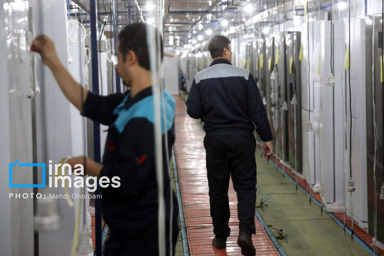 Manufacturing of refrigerators in northeastern Iran