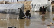 El frio invernal amenaza la vida de los palestinos en Gaza