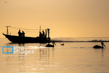 Tiyab Bay, habitat of migratory birds